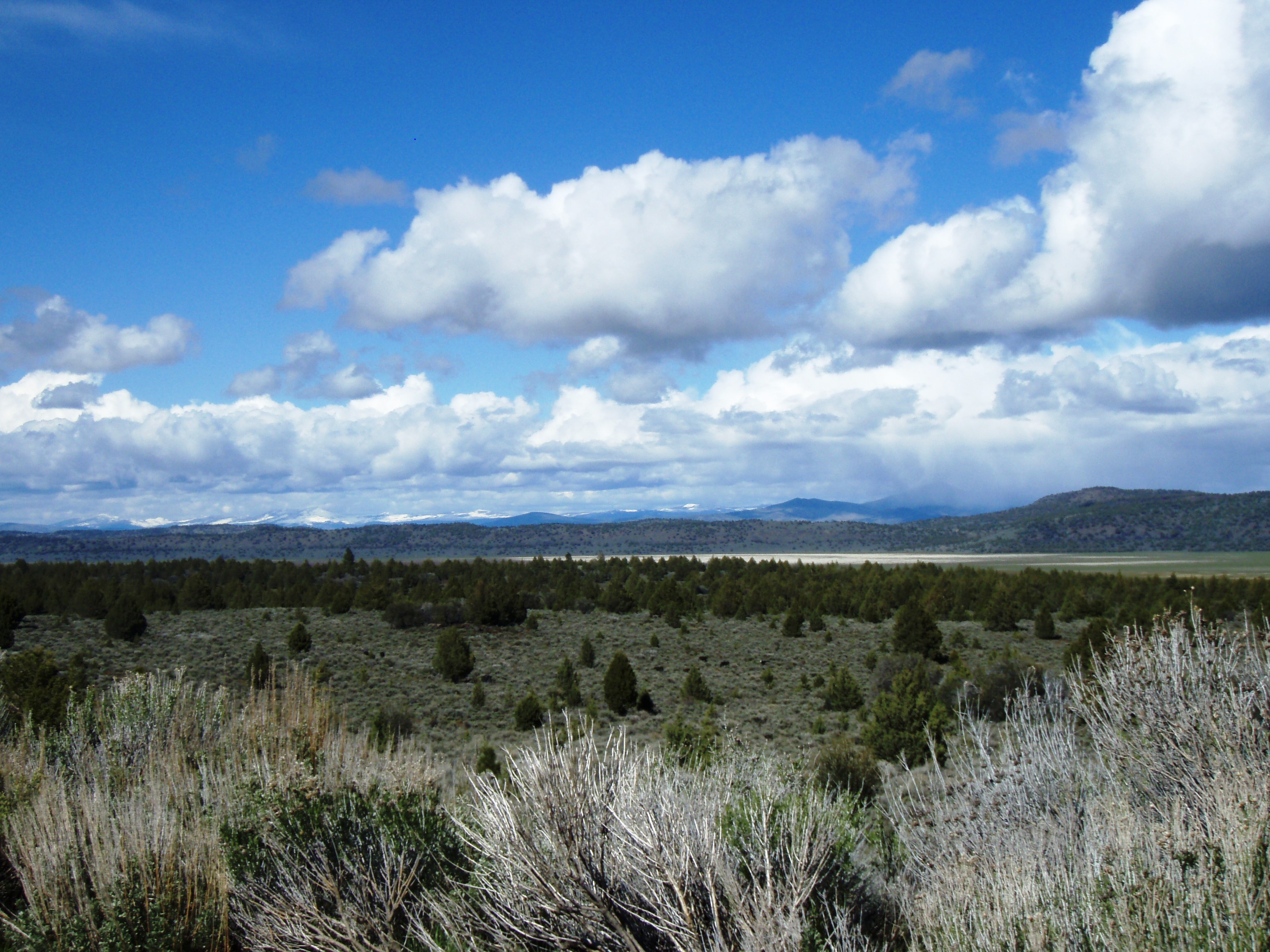 California land for Sale Eagle lake area